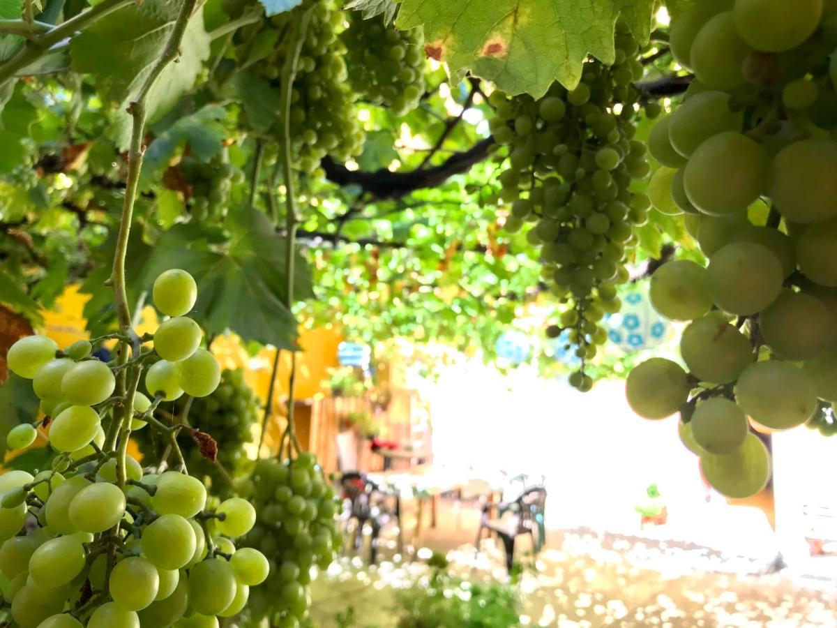 Apartment Olivar Madrid Luaran gambar