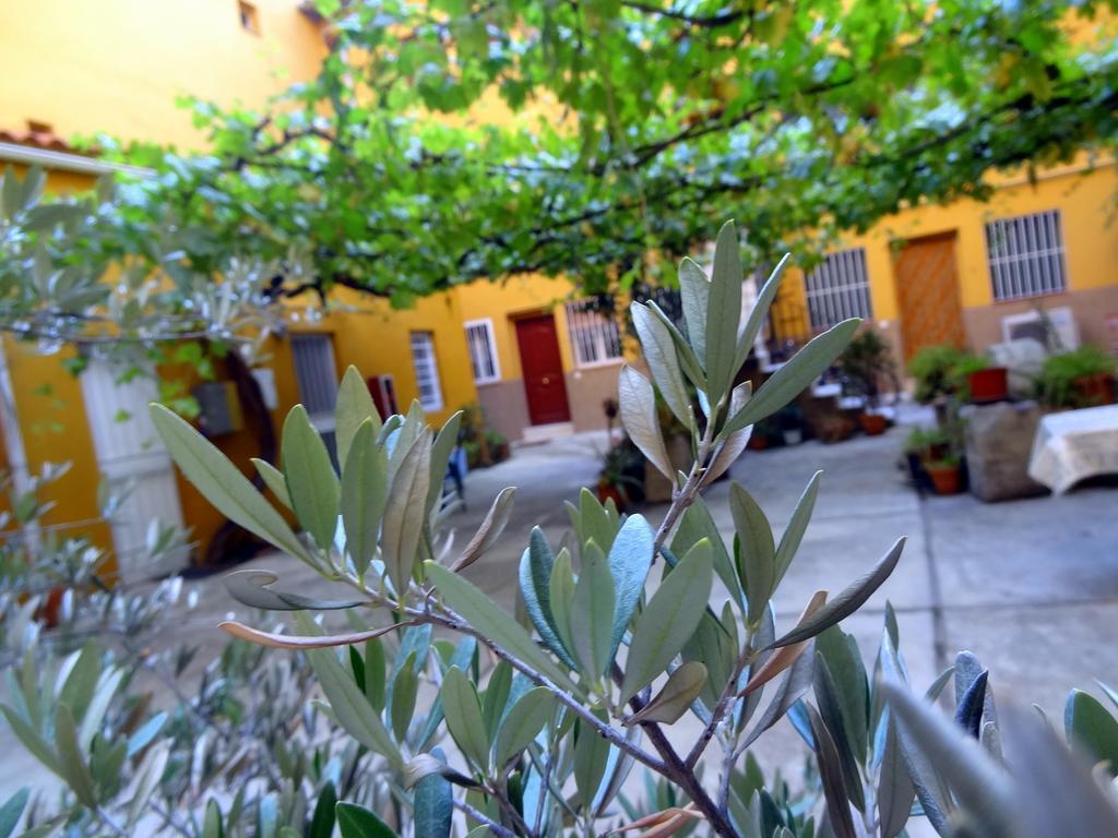 Apartment Olivar Madrid Bilik gambar